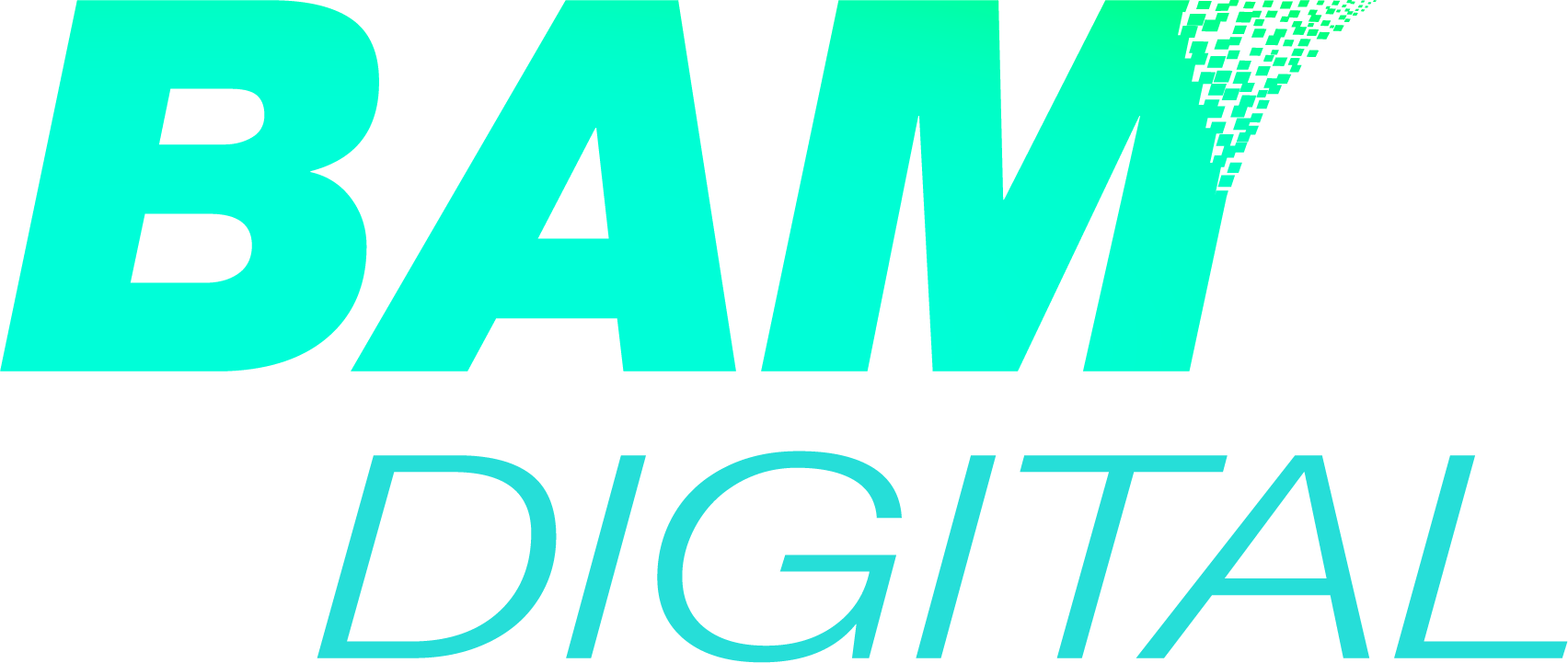 bam websites logos marketing